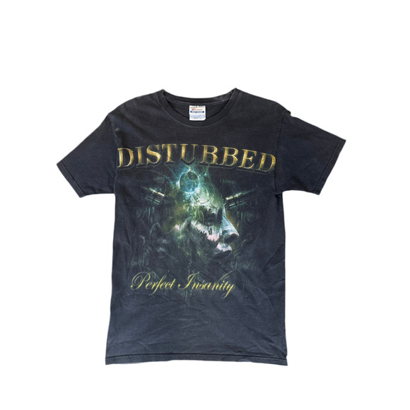 Disturbed “Perfect Insanity” Vintage Band Tee (2008) – Hanes Heavyweight - Picture 1 of 5